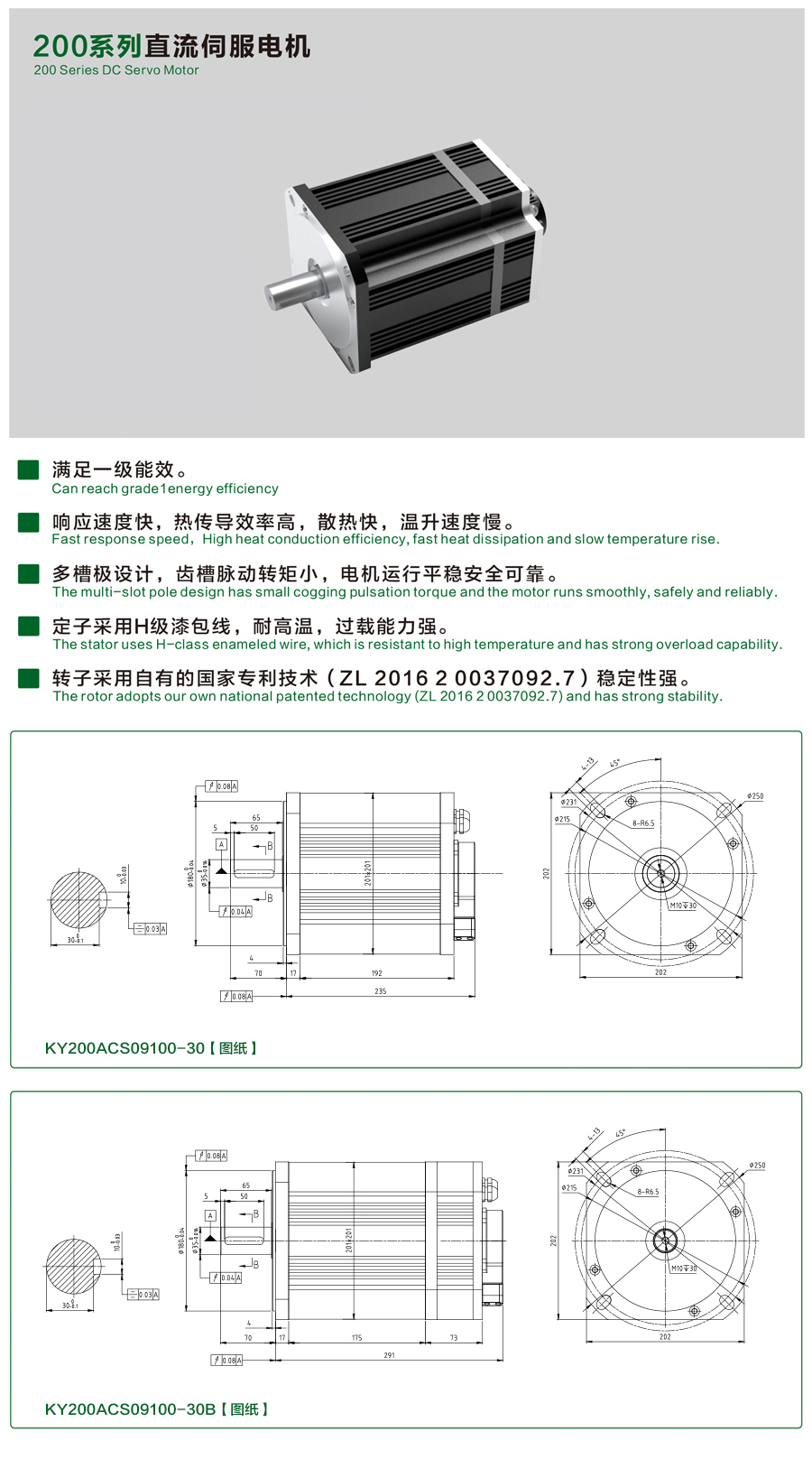 200系列09100-30伺服電機.jpg